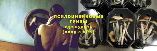 метамфетамин Богородицк