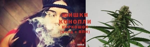 соль ск Белокуриха