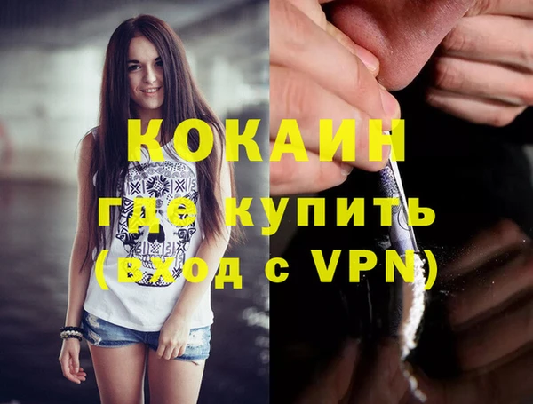 шишки Богданович
