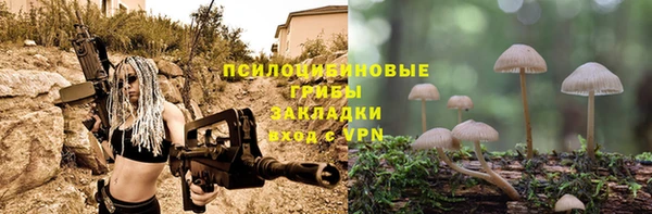 молекула духа Богородск