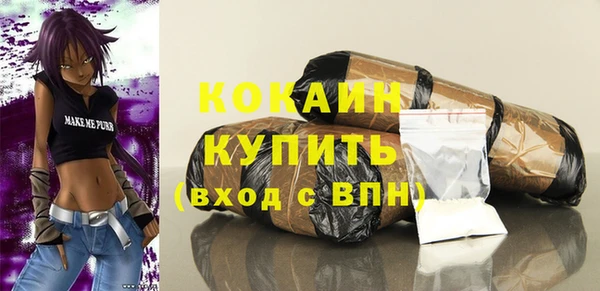 соль ск Белокуриха