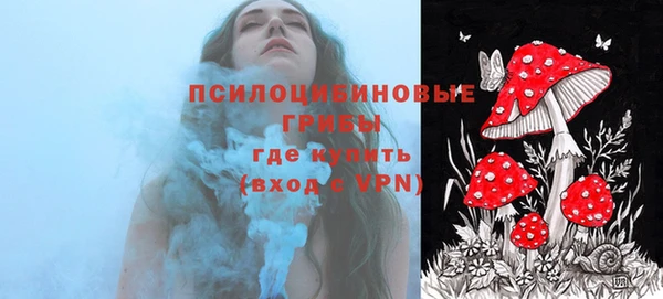 шишки Богданович