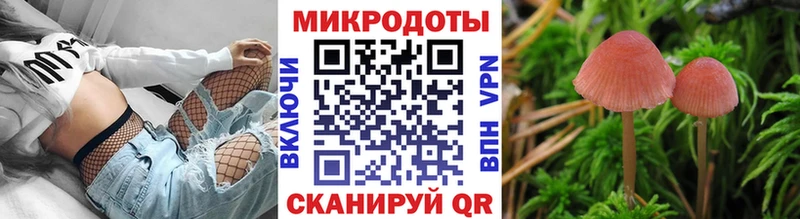 Галлюциногенные грибы прущие грибы Вязьма